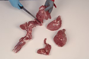Leg – dice and meaty bones Meat Cut Spec Step 10